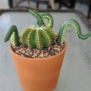 Meet your Posher, Barbie